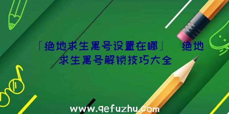 「绝地求生黑号设置在哪」|绝地求生黑号解锁技巧大全